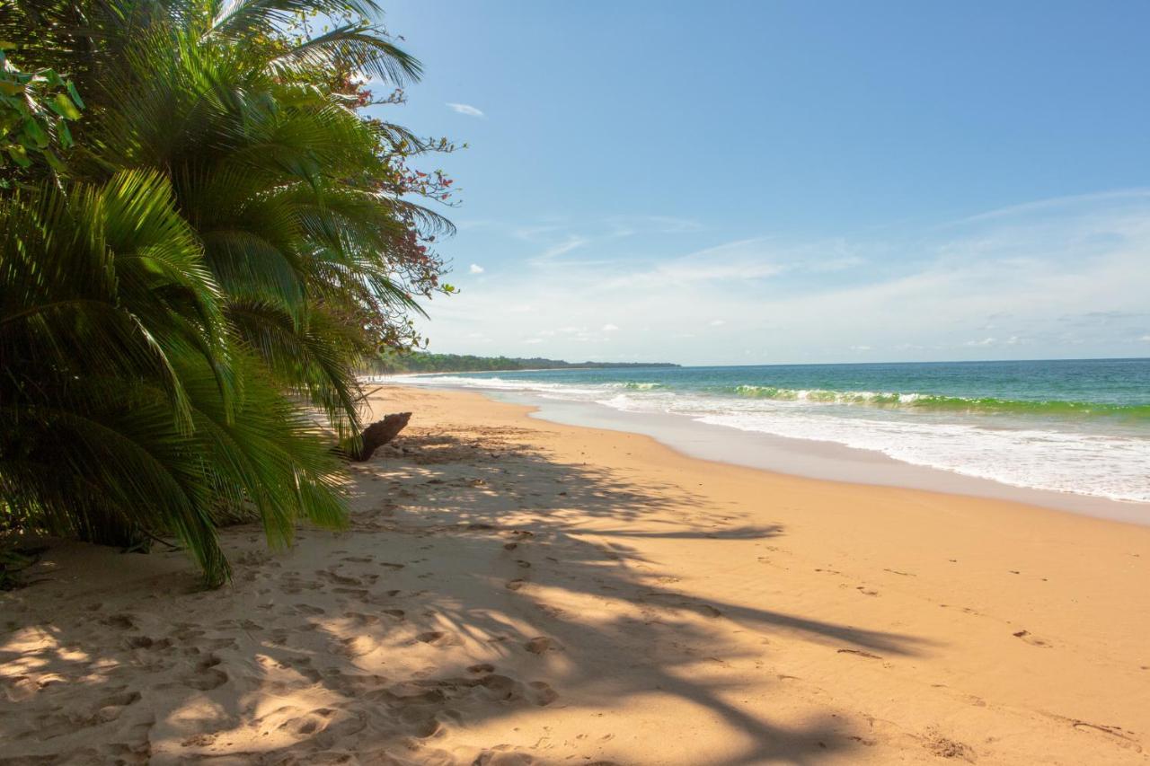 فندق La Coralina Island House بوكاس تاون المظهر الخارجي الصورة